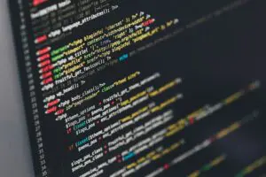 software development disputes