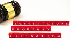 IP litigation
