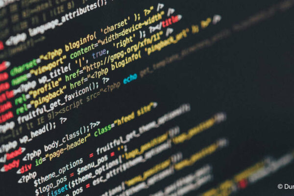 software development disputes